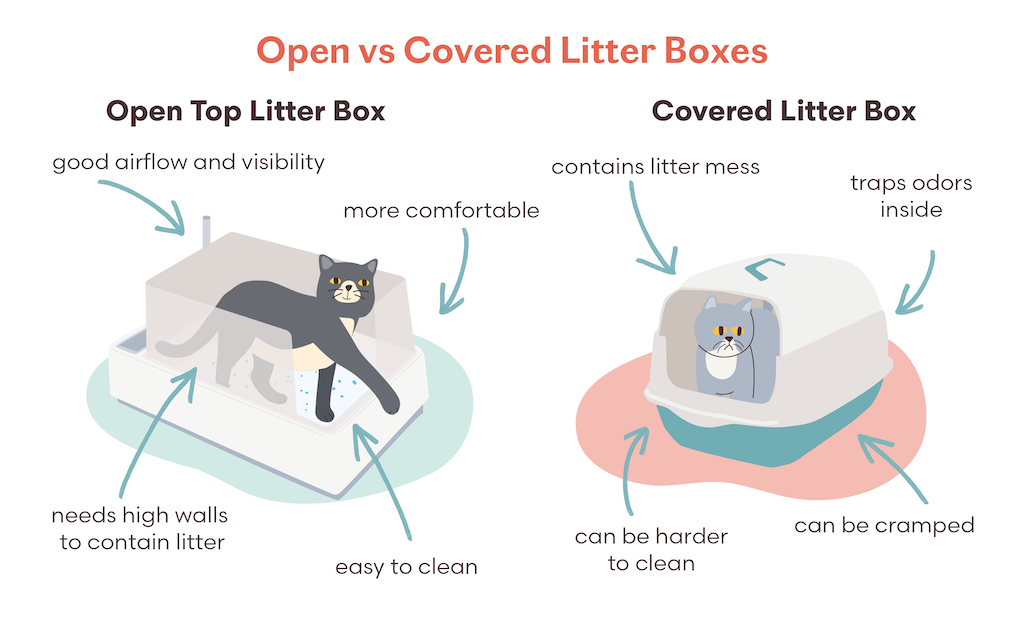 Open Top vs Covered Cat Litter Boxes