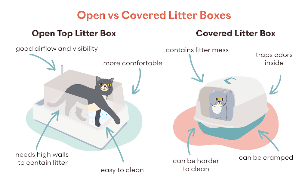 Open top vs covered litter boxes