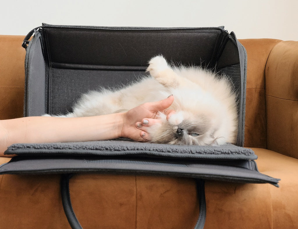 Porto Cat Carrier by tuft + paw