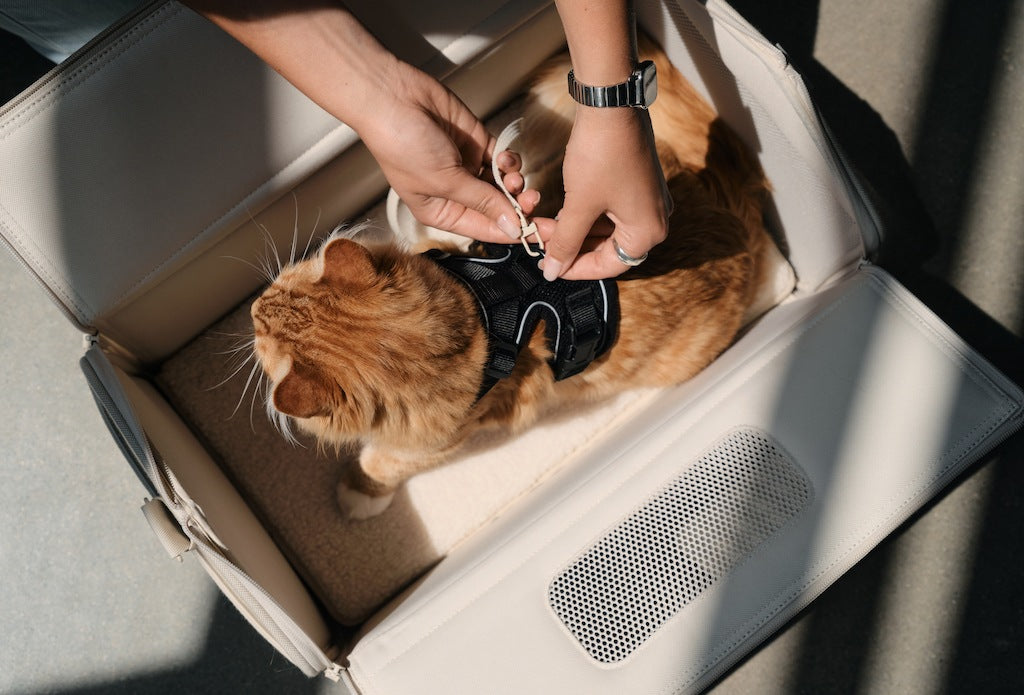 Porto Cat Carrier by tuft + paw