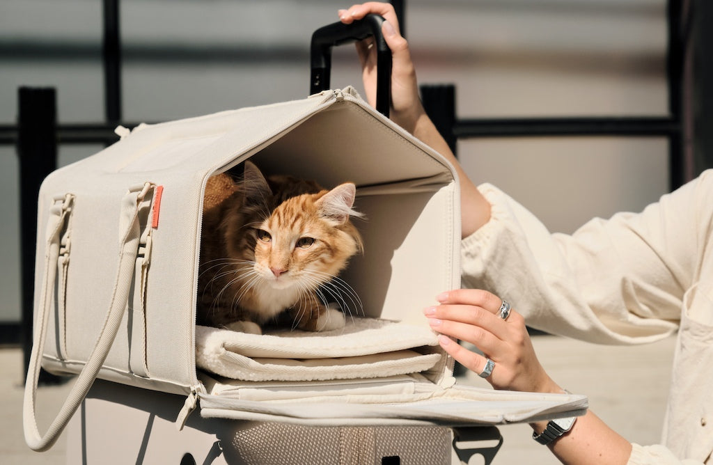Porto Cat Carrier by tuft + paw