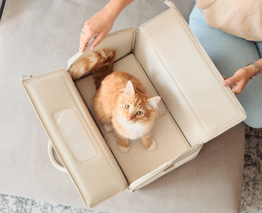 Porto Cat Carrier by tuft + paw