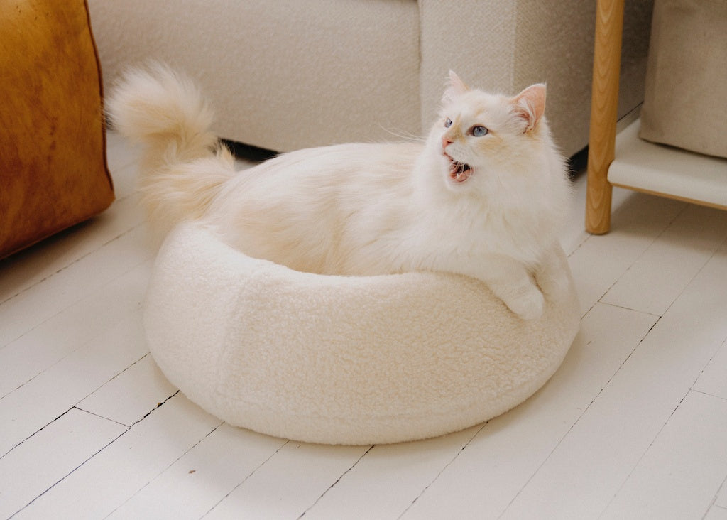 tuft + paw Puff Modern Cat Bed