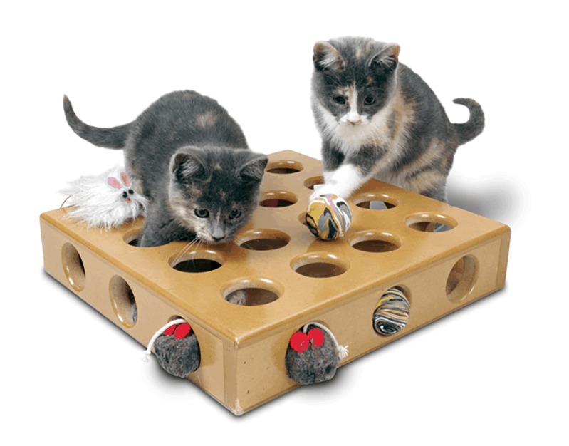 Игра для кошек котов кошки. Игрушка «котенок». Игрушка для кошки. Развивающие игрушки для котов. Интерактивная игрушка кошка.