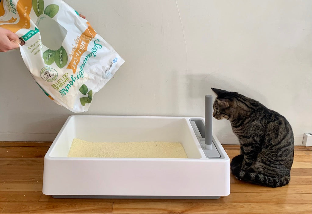 Sustainably Yours Cat Litter and tuft + paw Cove Litter Box