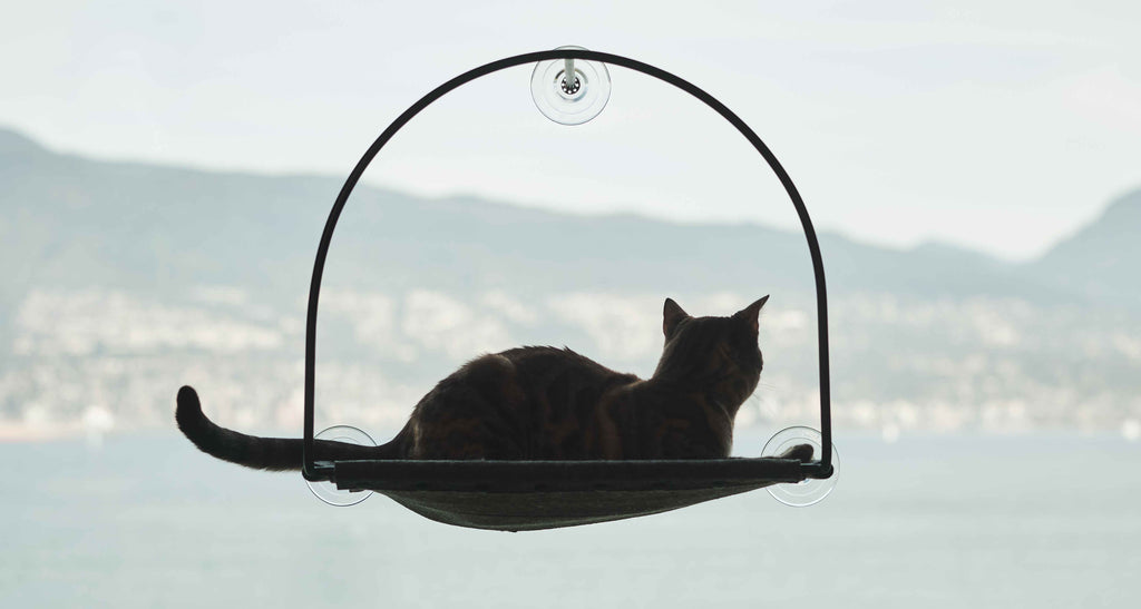 tuft + paw Cloud Nine Window Cat Hammock