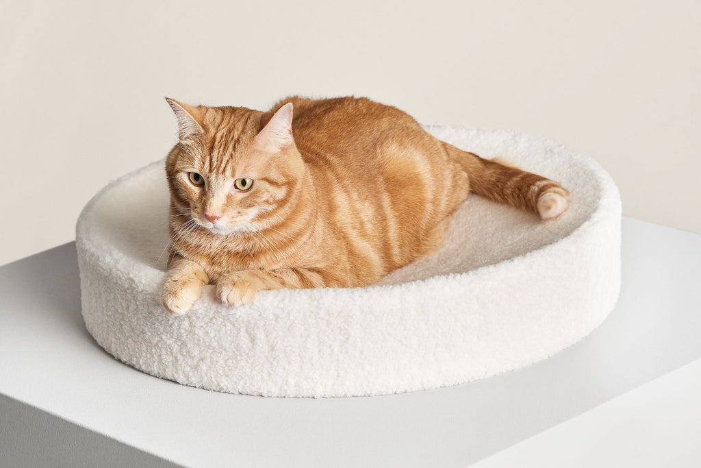 tuft + paw Kip Cat Cushion