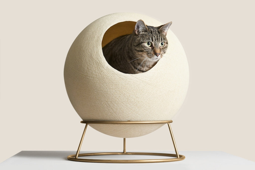 tuft + paw Stellar Modern Cat Bed