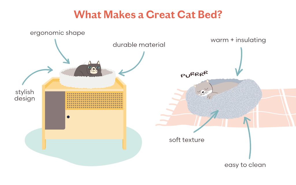 What Makes a Great Cat Bed?