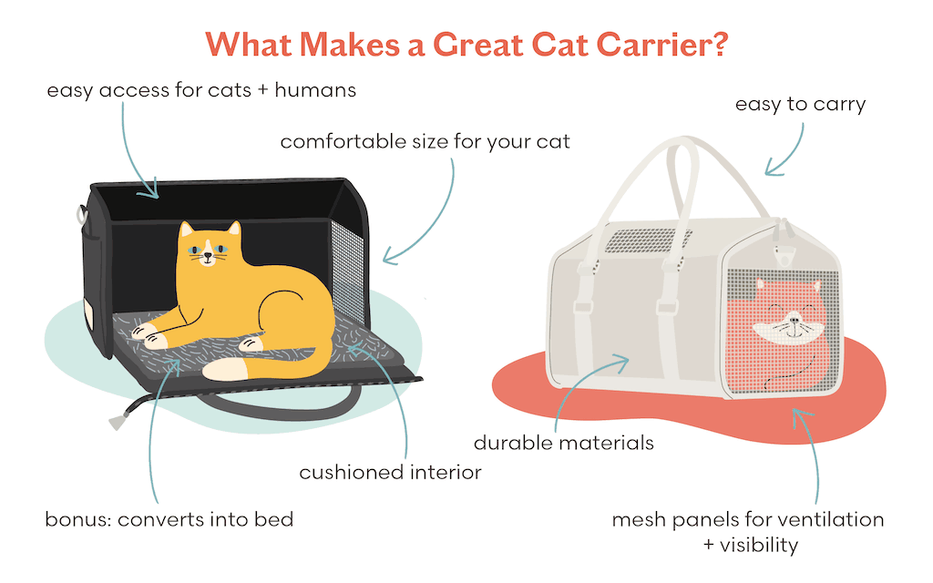What Makes a great cat carrier?