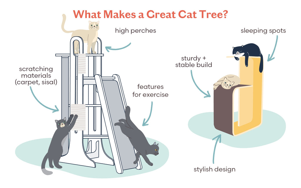 Illustration showing what features make a great cat tree, including high perches, features for exercise, scratching surfaces, sleeping spots, sturdiness, and a stylish design