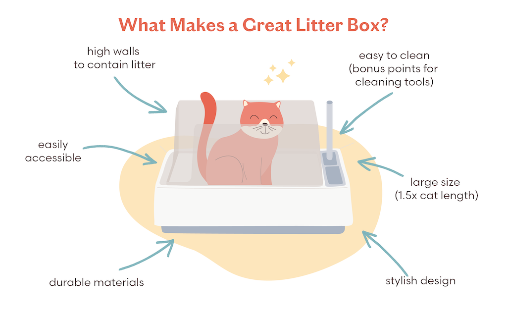 What Makes a great cat litter box