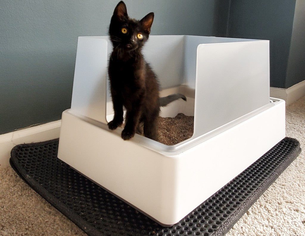 Cove Modern Litter Box – tuft + paw