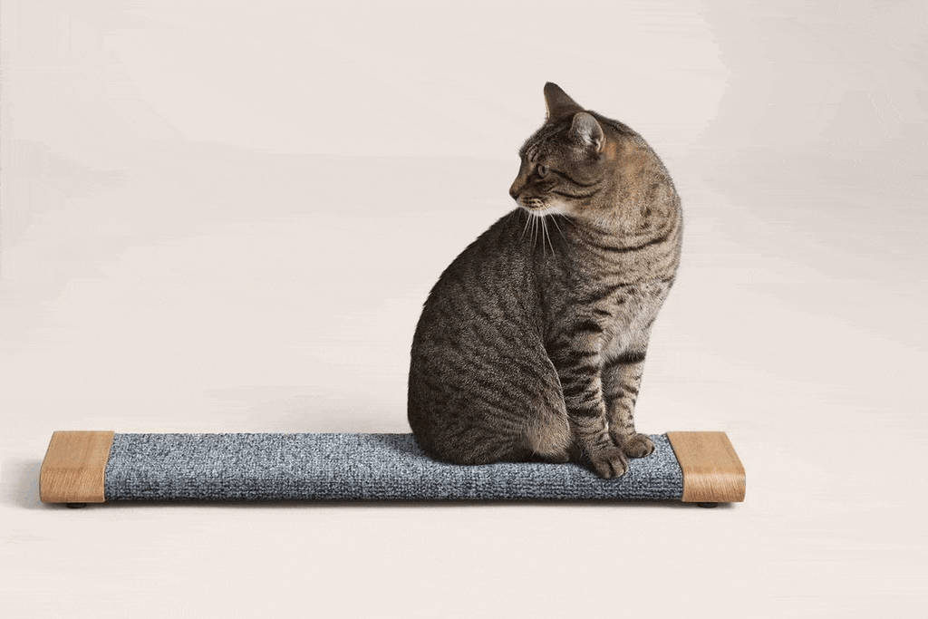 Tab Scratching Board by tuft + paw