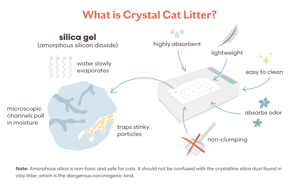 What Is Crystal Cat Litter?