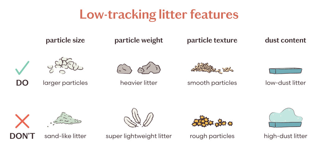 5 Tips to Help Stop Litter Tracking