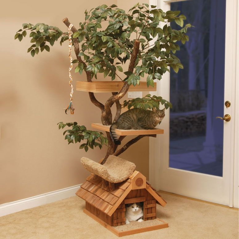 unique cat trees