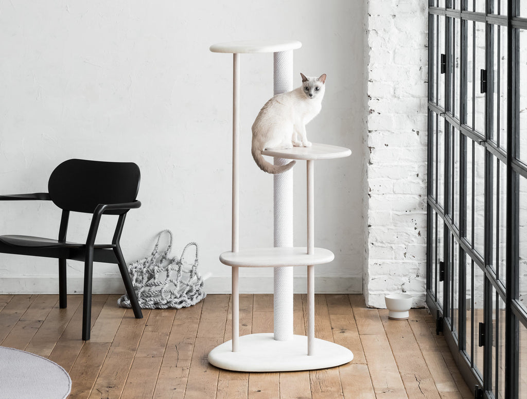 best cat tree for fat cats