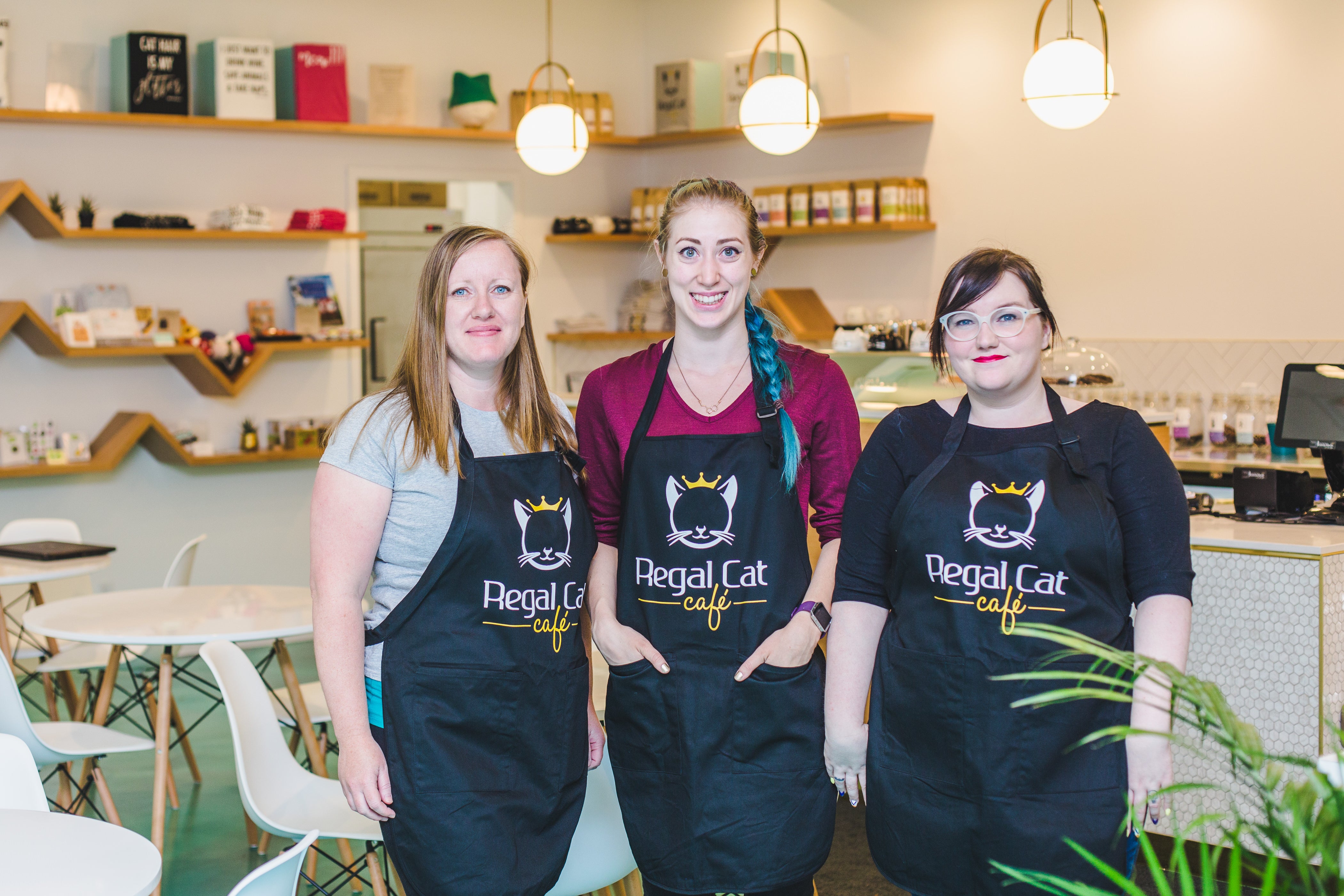 How Tia Quit Her Job and Founded The Regal  Cat  Cafe  Tuft 