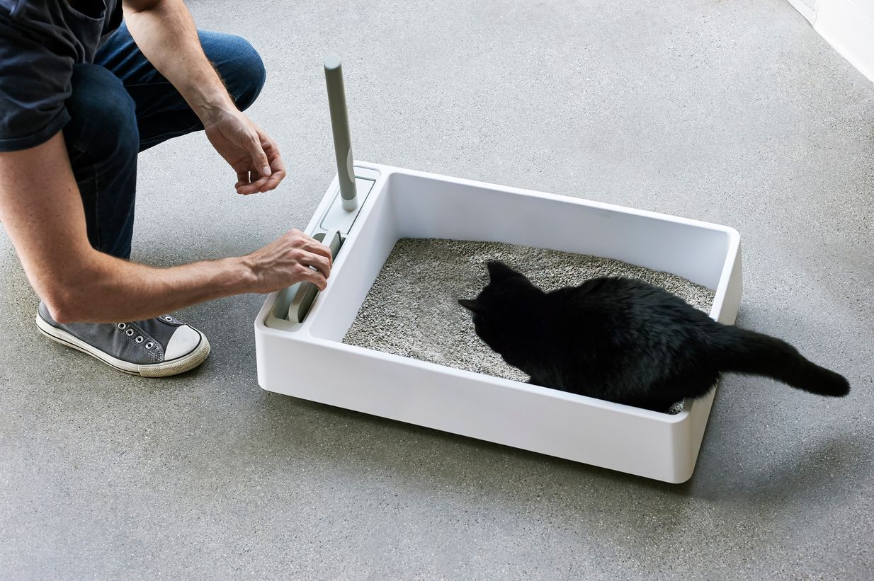 How to Clean Your Cat's Litter Box – tuft + paw