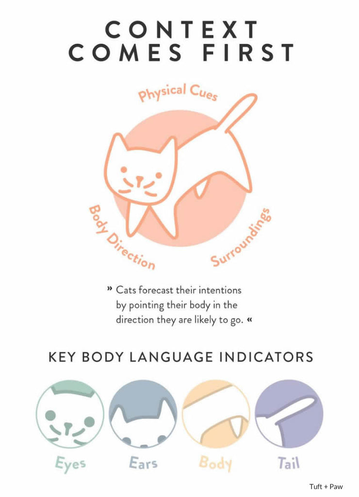 Cat Personality Chart