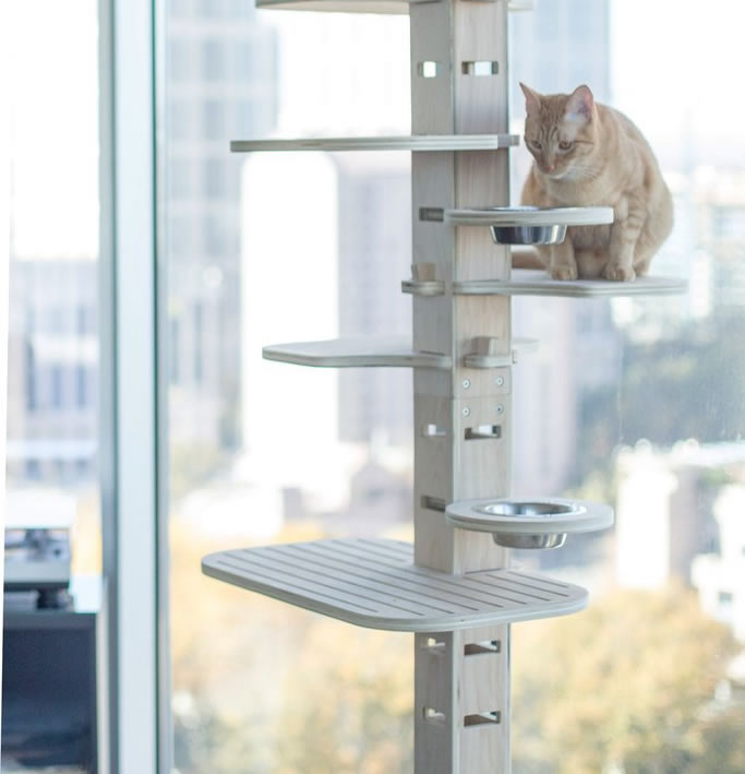 premium cat trees