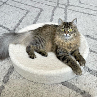 Kip Cat Cushion – tuft + paw