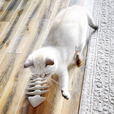 Turbo Fish with Feathers Cat Toy - The Fish & Bone