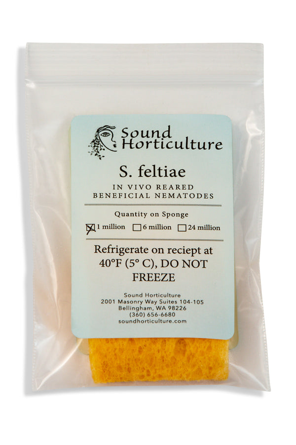 https://cdn.shopify.com/s/files/1/1512/3854/products/S-feltiae-Quanity1million-SoundHorticulture_600x900.jpg?v=1678404003