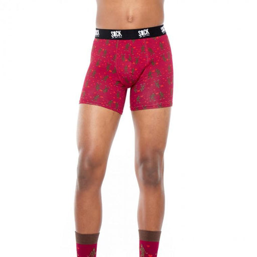 Land of the Dino Boxer Brief Underwear - Sock It to Me