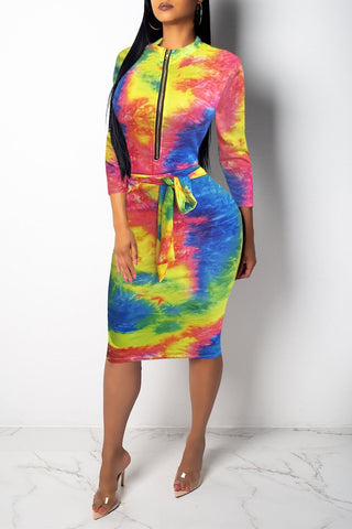 

Zipper Collar Digital Print Belted Dress