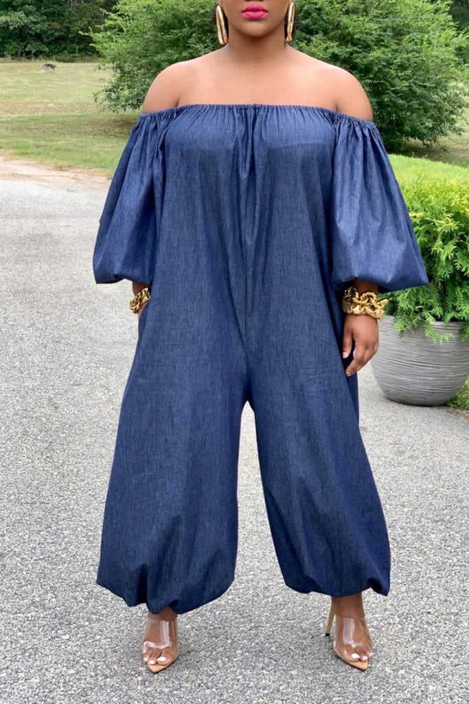 plus size denim wide leg jumpsuit