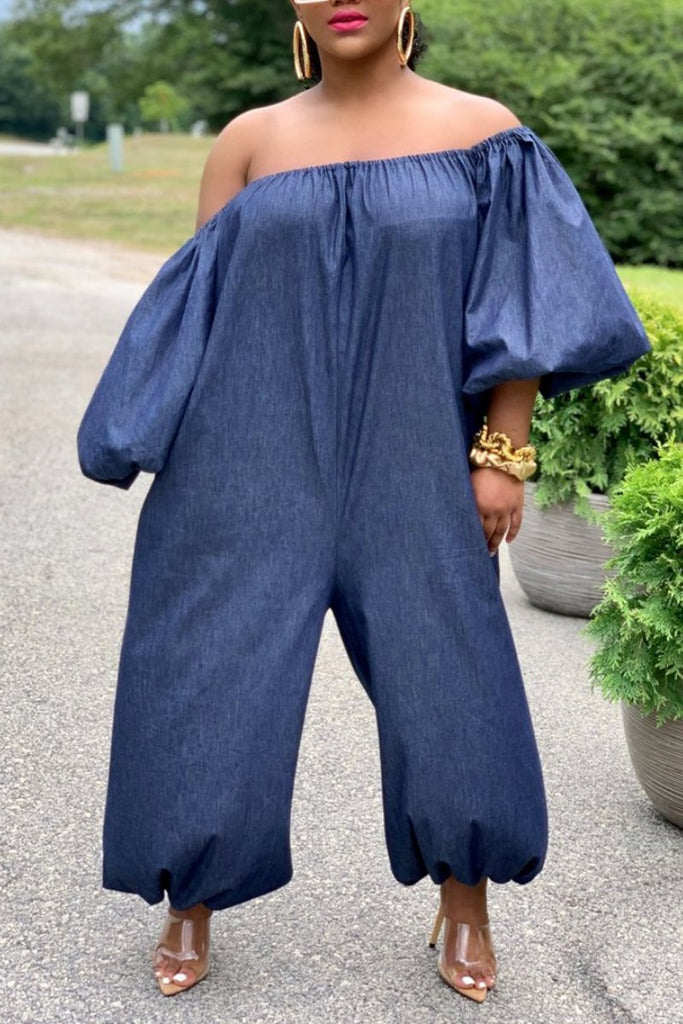 plus size denim wide leg jumpsuit