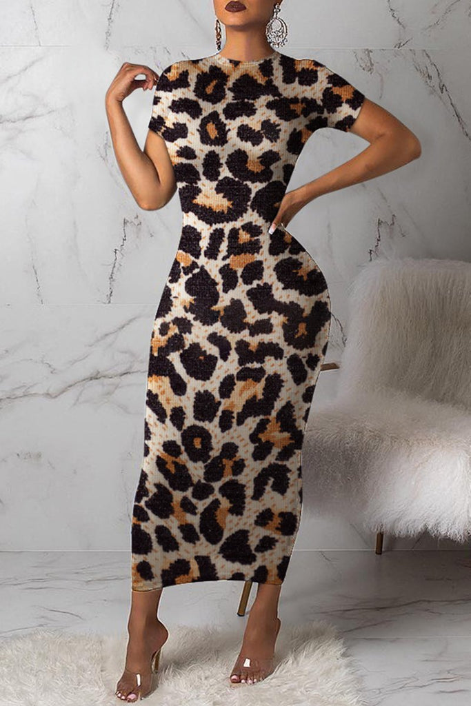 animal print maxi dress with sleeves