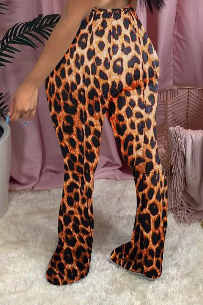 leopard print plus size pants