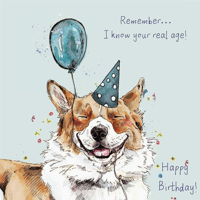 do dogs know their birthdays