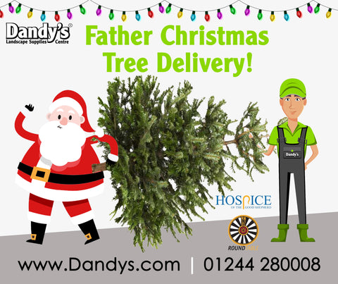 Dandy's Santa Christmas Tree Delivery