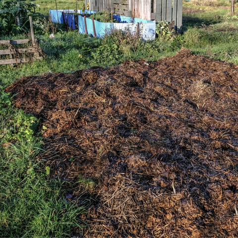 Dandy's No Dig Gardening