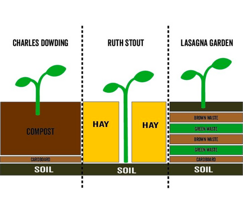 No Dig techniques - gardening blog by Dandy's