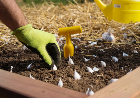 Dandy's VegeGrow Topsoil