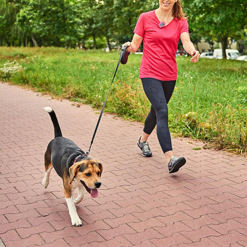 Woman walking dog outdoors with 3DFitBud Pedometer clipped to her shirt