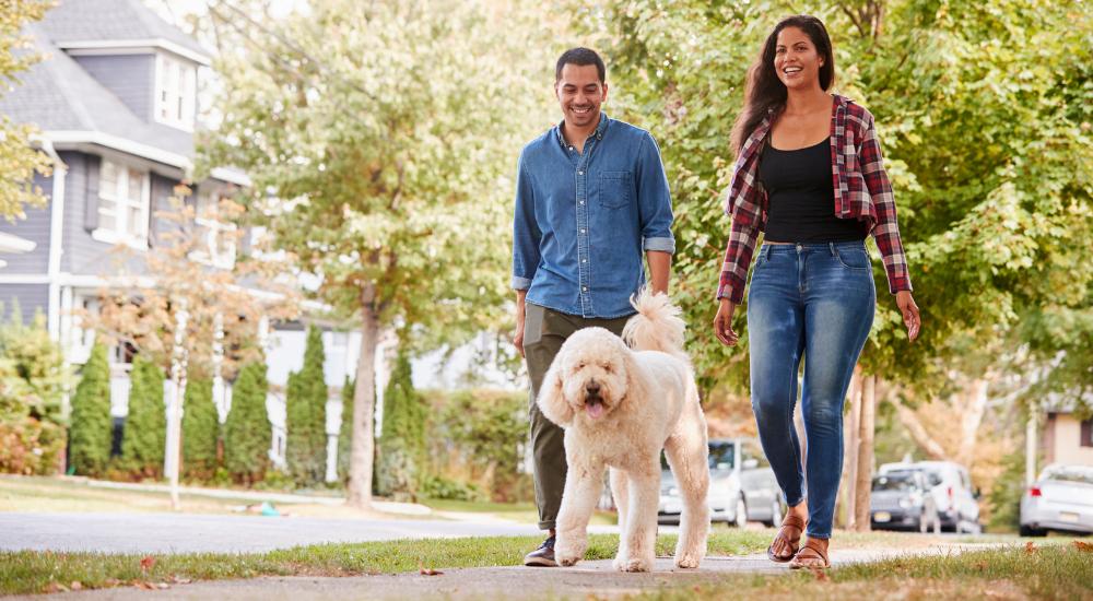 Young couple walking their dog around the block