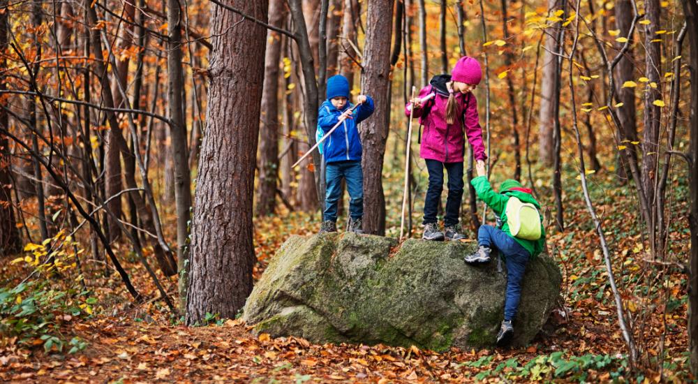 Three children playing in the woods after family walk