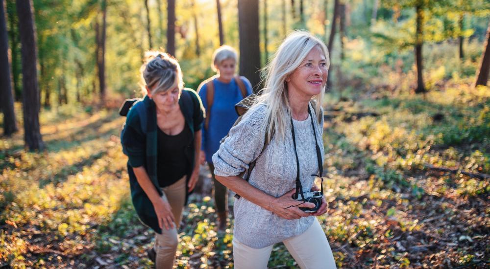 Group of older women hiking through the woods with cameras to photograph birds and scenery