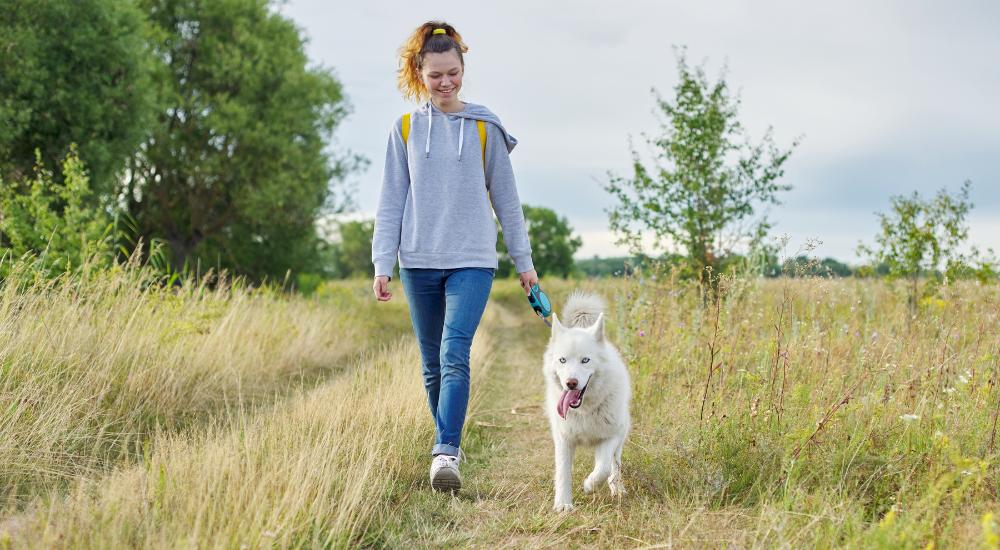 Young woman walking her dog through a field