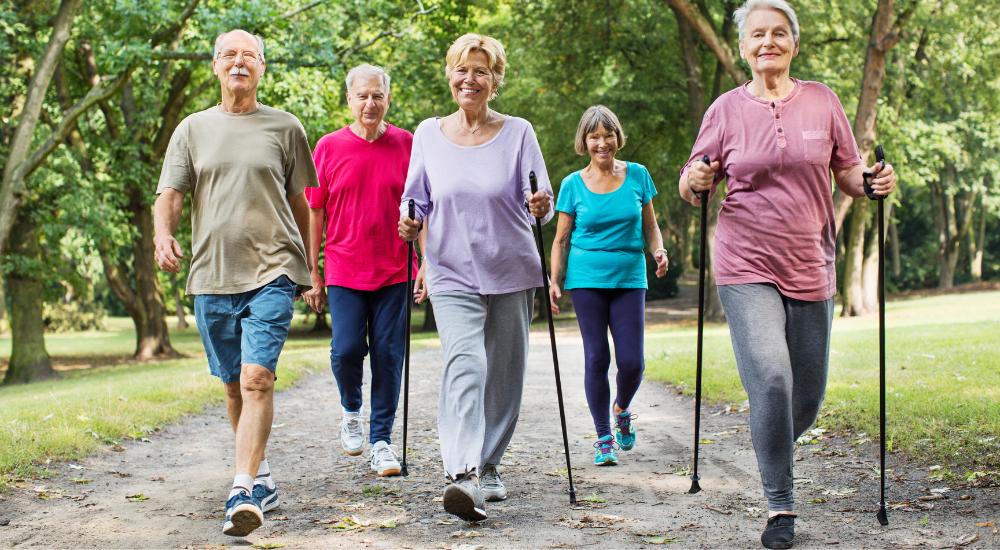 Group of healthy seniors walking outdoors
