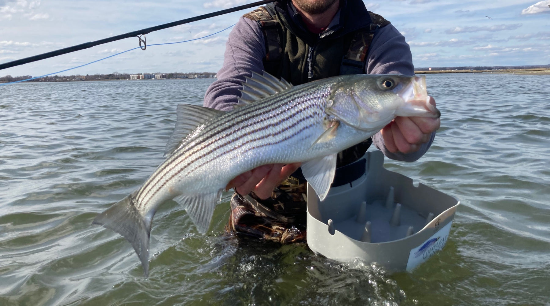 How to Fly Fish for Striped Bass (Setup, Flies, and More) - Guide  Recommended