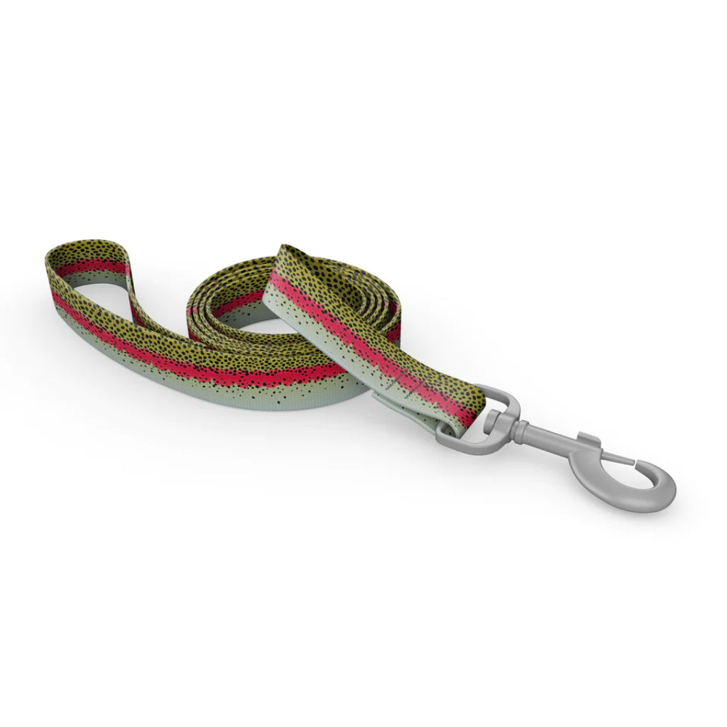 Wingo Dog Leash - 6ft - Rainbow Trout