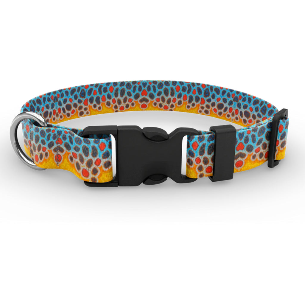 Wingo Coosa Dog Collar - The Compleat Angler