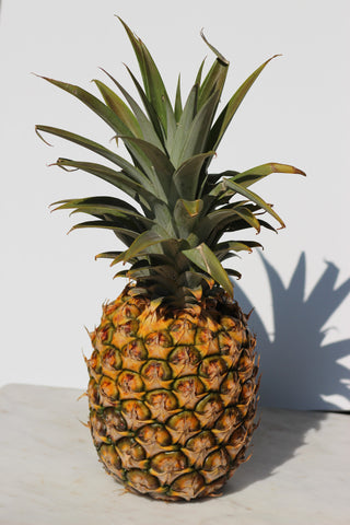 Hawaii Made - Blog - How to Grow a Pineapple